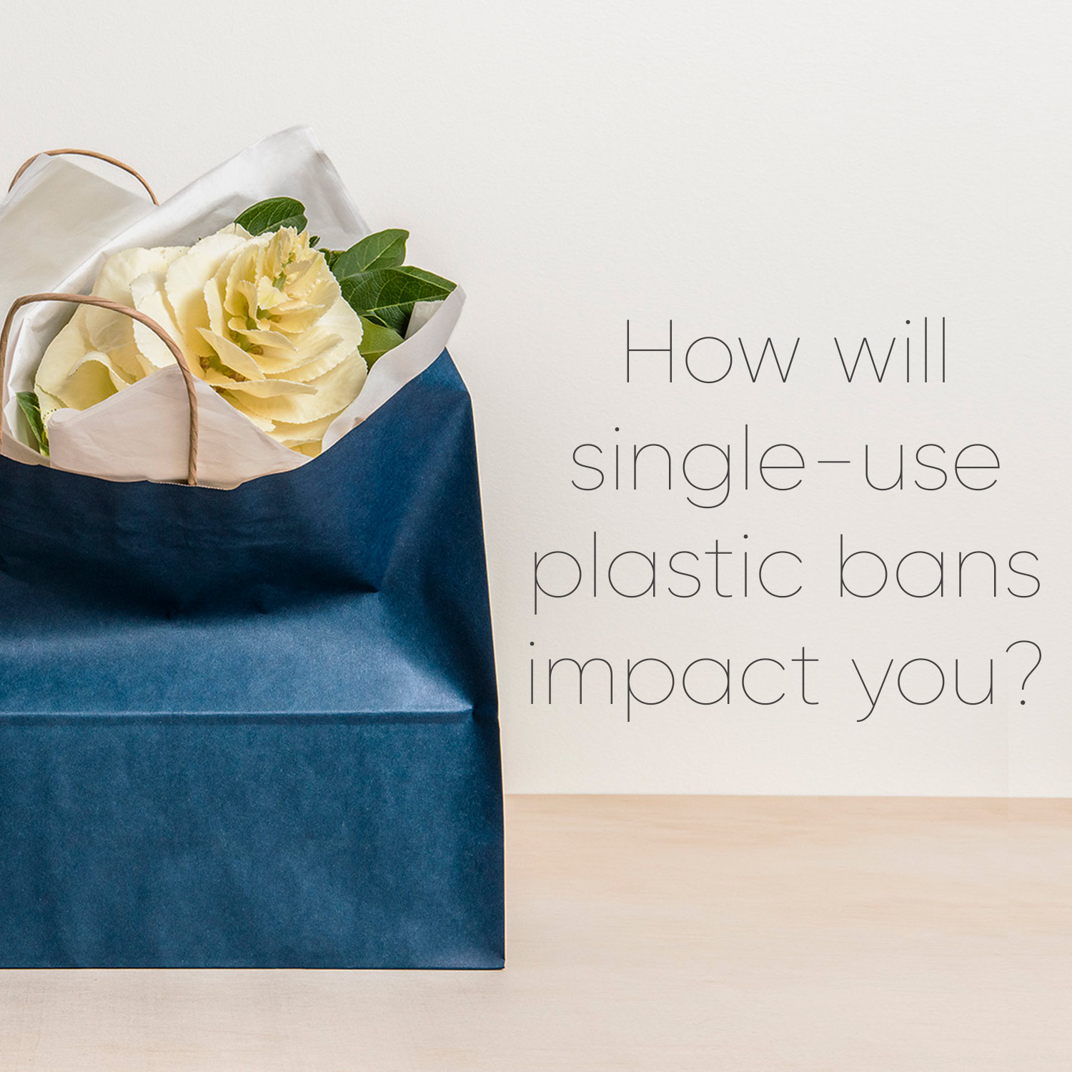 Image showing paper bag with text how will single use plastic bans impact you