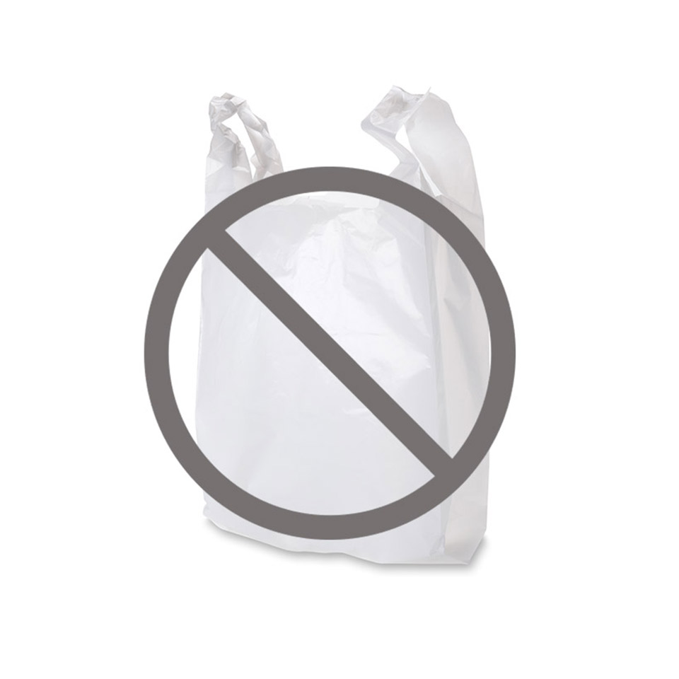 Image of a plastic bag with a cross through it