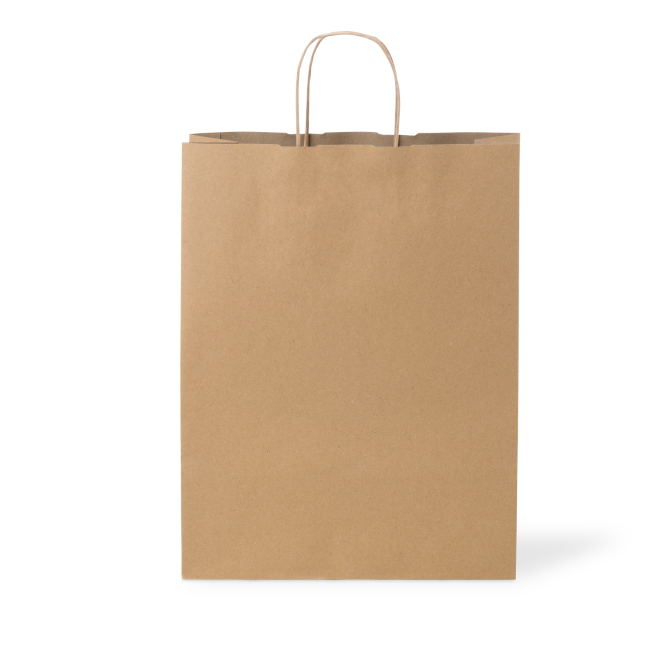 C210S0010C__PAPERPAK_#18_LARGE_PAPER_TWIST_HANDLE_BAG_RECYCLED_02