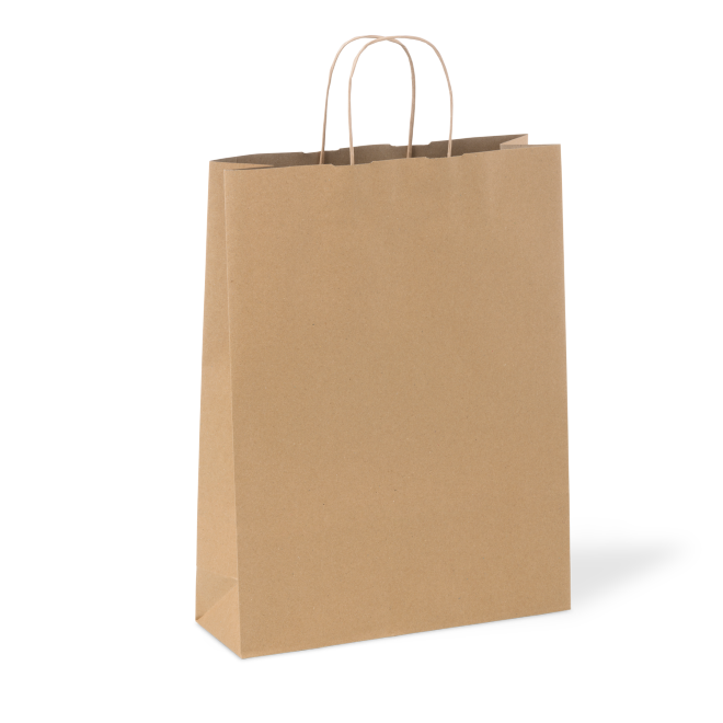 C210S0010C__PAPERPAK_#18_LARGE_PAPER_TWIST_HANDLE_BAG_RECYCLED_03_DS