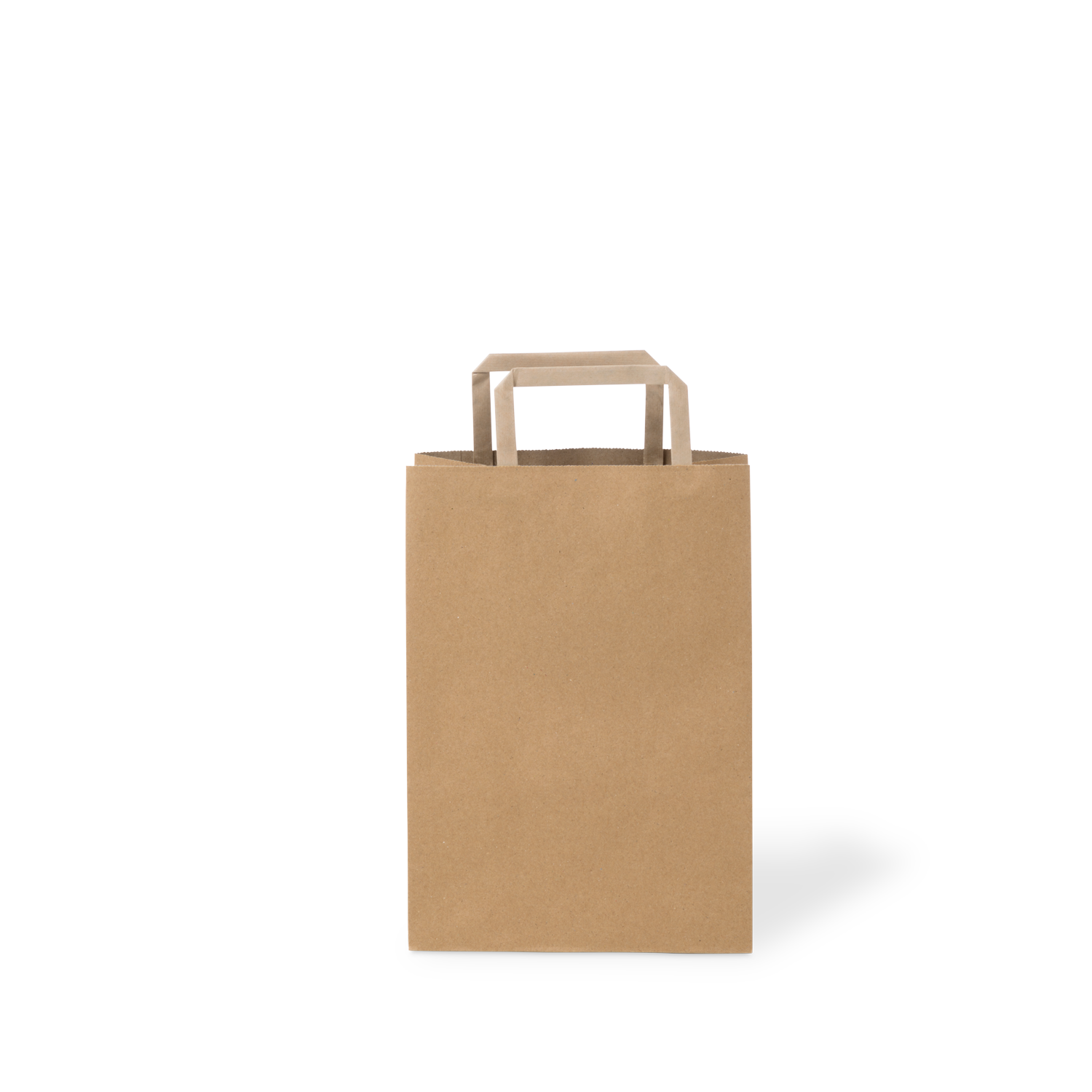 C486S0010B_PAPERPAK_#40_FLAT_FOLD_HANDLE_BAG_RECYCLED_02_DS
